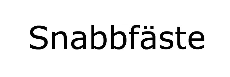 Snabbfäste