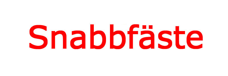 Snabbfäste
